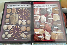 Fossili minerali del usato  Castellamonte