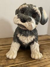 purebred schnauzer puppy for sale  Somerset