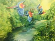 parrots macaws for sale  MIDDLESBROUGH