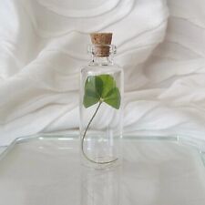 Trevo real de quatro folhas em garrafa de vidro comprar usado  Enviando para Brazil