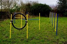 Agility exercise beginner for sale  Shipping to Ireland