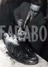 Vintage pesci celacanto usato  Roma