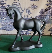 Gorgeous black stallion for sale  LLANDYSUL