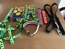 Lead collar bundle for sale  WESTON-SUPER-MARE