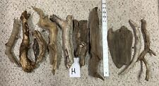 small driftwood pieces for sale  Cleveland