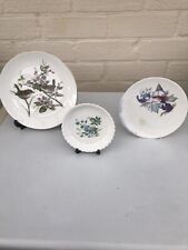 Coalport plates for sale  Shipping to Ireland