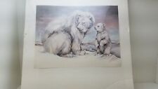 Estampa de urso polar Doug Lindstrand assinada 12 x 16 comprar usado  Enviando para Brazil