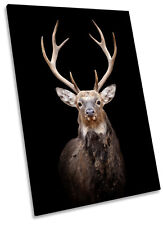 Stag deer head for sale  UK