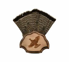 Grouse taxidermy plaque for sale  Manheim