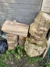 Elderberry tree logs for sale  HOUNSLOW