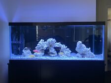 Fish tank for sale  Pacific Grove