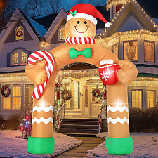 Bloomwin christmas inflatables for sale  USA