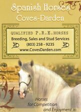Horse andalusian stallion for sale  Greenville