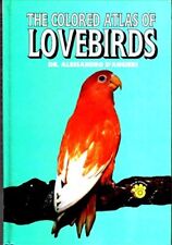 Colored atlas lovebirds for sale  Bremerton