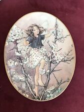 The Blackthorn Fairy Royal Worcester Oval Flower Fairies Decorative Plate for sale  Shipping to South Africa
