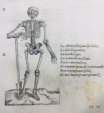 Anatomie 1614 squelette d'occasion  Tuchan