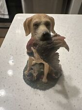 Blonde labrador duck for sale  Port Allen