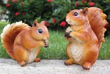 Eurhouse squirrel garden for sale  Ireland