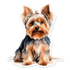 Yorkie yorkshire terrier for sale  USA
