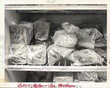 Vegetais congelados no freezer Peter Birch em Stamford - ctaa06195 comprar usado  Enviando para Brazil
