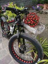 Scout fat bike usato  Vigevano