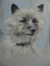 Portrait cairn terrier for sale  WEST MOLESEY