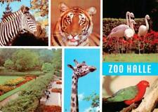 73953332 zoo gardin gebraucht kaufen  Deutschland
