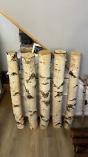 Silver birch logs for sale  WITHAM