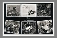 1956 postcard chrome d'occasion  Expédié en Belgium