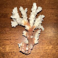 Natural coral piece for sale  Winterset