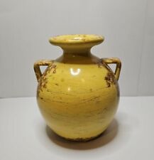 Decorative pottery vase for sale  Painesville