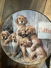 puppies adoptions for sale  Philadelphia