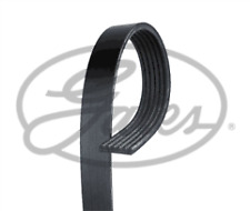 ribbed drive belts for sale  THORNTON-CLEVELEYS