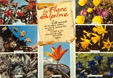 Flore alpine jonquilles d'occasion  Rioz