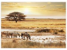 Wallario Teppich Fußmatte ab 50x70cm -Motiv Safari Afrika  eine Herde Zebras na sprzedaż  Wysyłka do Poland