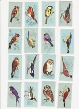 Full Set of 48 British Birds cards from Tetley Tea 1970 for sale  LEIGHTON BUZZARD