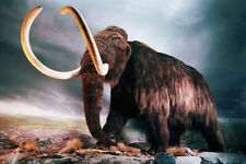 Woolly mammoth poster for sale  Pacoima