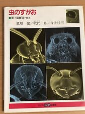 Japanisches buch insektengesic gebraucht kaufen  Kalbach