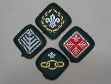 Chief scout award for sale  NORTHAMPTON