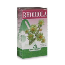 Rhodiola erbe tavolette usato  Napoli