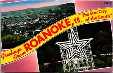 Roanoke virginia panoramic for sale  Oceanside