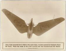 Raf aircraft pterodactyl for sale  Northampton