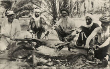 Usado, Cartão postal RPPC argélia, homens no churrasco, Méchoui Meshwi cordeiro cuspido assado (década de 1950) comprar usado  Enviando para Brazil