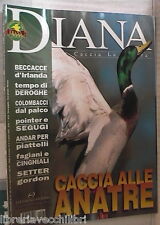 Diana 2002 caccia usato  Salerno