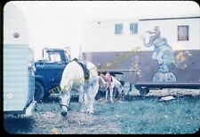 king horse trailer for sale  Prairie Village