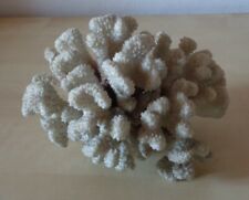 Corallo bianco usato  Cassano Magnago