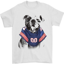 American football bulldog for sale  COVENTRY