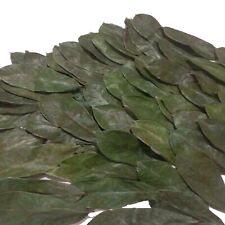 Folha de sopa azeda seca orgânica natural pura graviola guanabana graviola sri lanka  comprar usado  Enviando para Brazil
