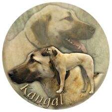 Kangal cane pastore usato  Spedire a Italy