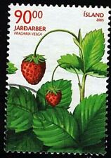 2005 wild berries gebraucht kaufen  Schmachtendorf,-Holten